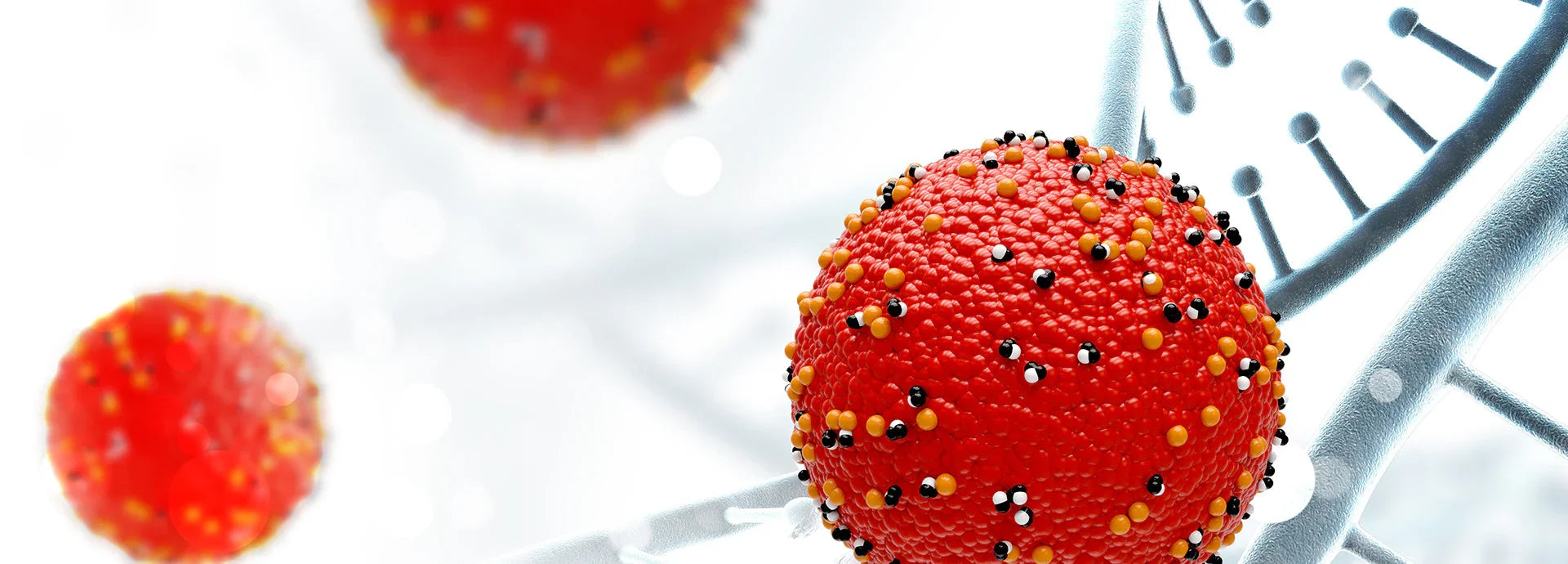 Dysbiosis 101: Symptoms, causes, treatments, and natural approaches